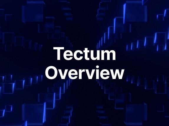 The World’s Fastest Blockchain: A Tectum Overview