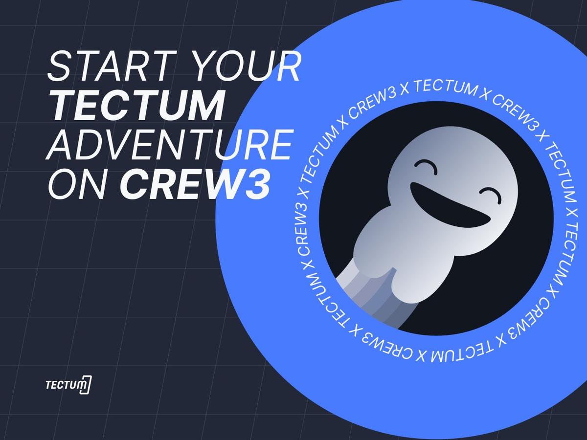 Tectum Crew3 Competition