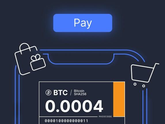 Cryptocurrency Payment Gateway Development – Essential Factors You Must Consider