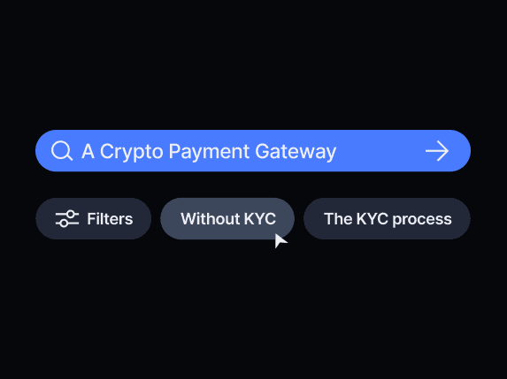How Does a Crypto Payment Gateway Without KYC Regulate Users?