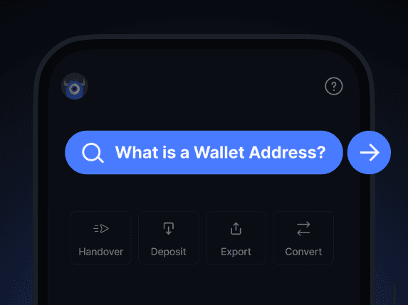 What is a Wallet Address?